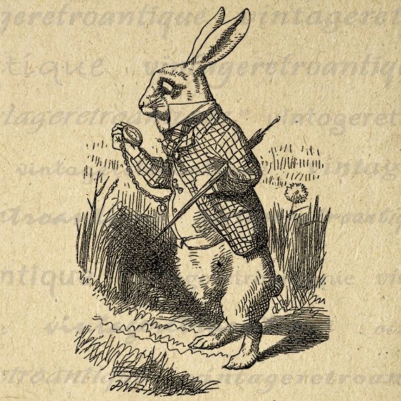 Hojas de Menta frescas para infusión